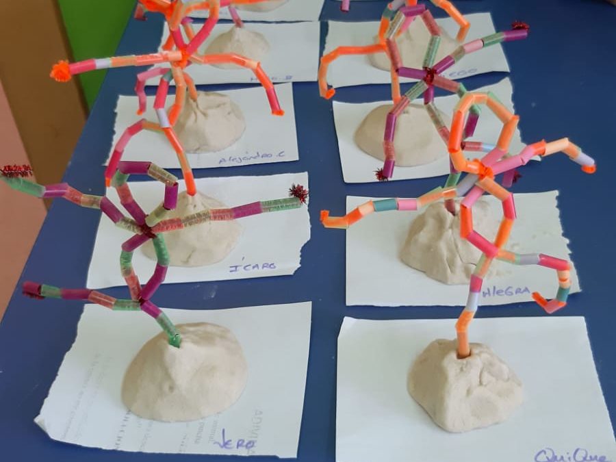Campamento Summer House 2019